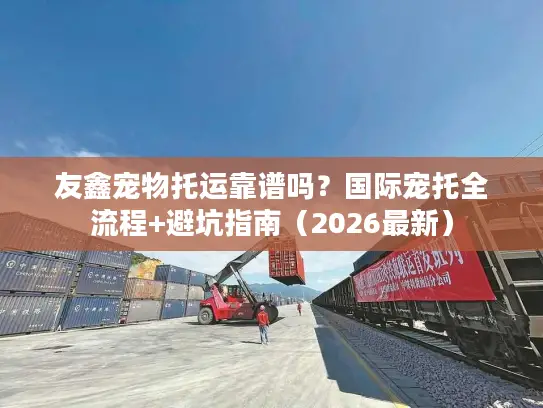 友鑫宠物托运靠谱吗？国际宠托全流程+避坑指南（2026最新）