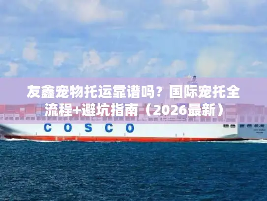 友鑫宠物托运靠谱吗？国际宠托全流程+避坑指南（2026最新）