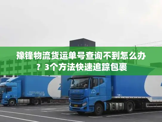 豫锋物流货运单号查询不到怎么办？3个方法快速追踪包裹