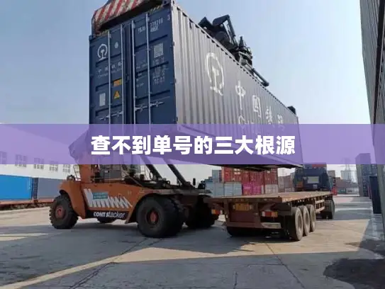 查不到单号的三大根源
