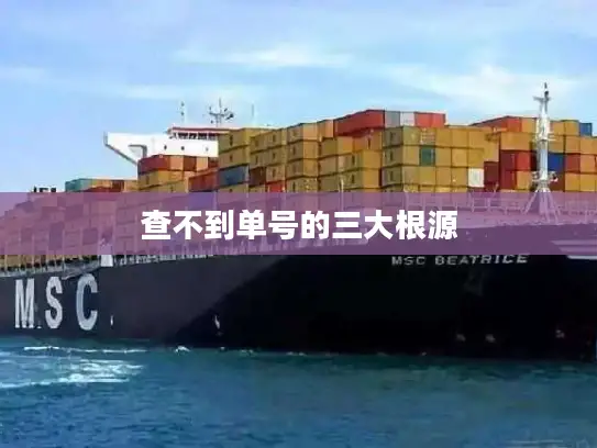查不到单号的三大根源