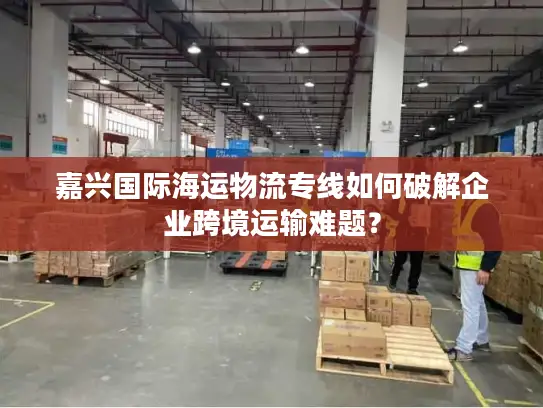 嘉兴国际海运物流专线如何破解企业跨境运输难题？