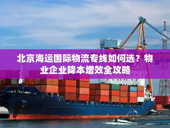 北京海运国际物流专线如何选？物业企业降本增效全攻略