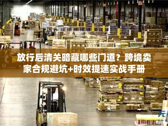 放行后清关暗藏哪些门道？跨境卖家合规避坑+时效提速实战手册