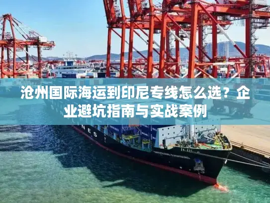 沧州国际海运到印尼专线怎么选？企业避坑指南与实战案例