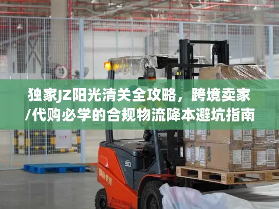 独家JZ阳光清关全攻略，跨境卖家/代购必学的合规物流降本避坑指南