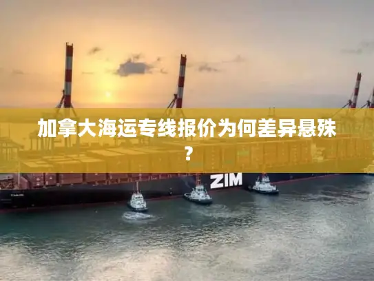 加拿大海运专线报价为何差异悬殊？