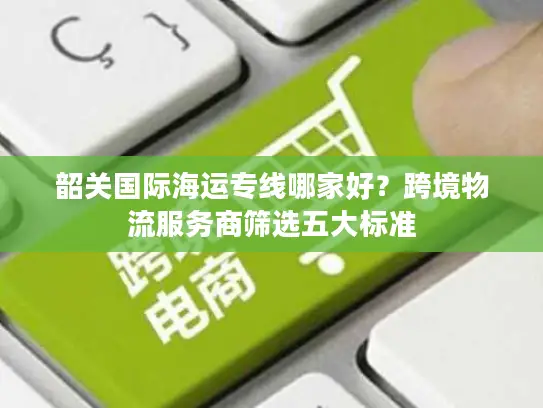 韶关国际海运专线哪家好？跨境物流服务商筛选五大标准