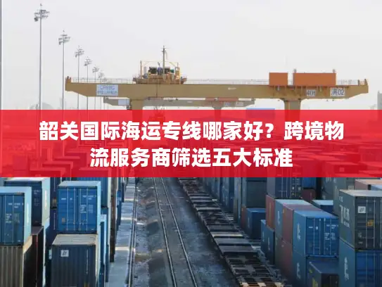 韶关国际海运专线哪家好？跨境物流服务商筛选五大标准