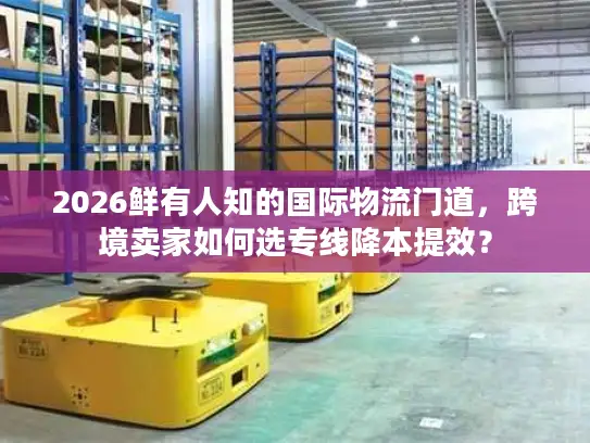 2026鲜有人知的国际物流门道，跨境卖家如何选专线降本提效？