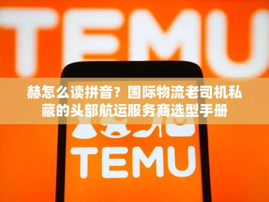 赫怎么读拼音？国际物流老司机私藏的头部航运服务商选型手册