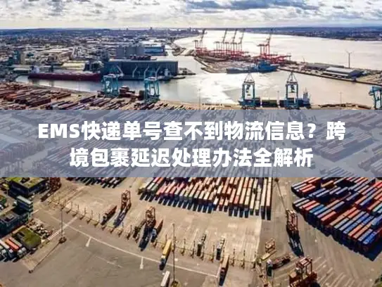 EMS快递单号查不到物流信息？跨境包裹延迟处理办法全解析
