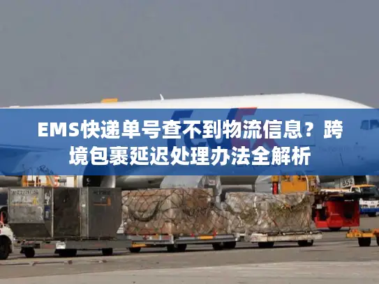 EMS快递单号查不到物流信息？跨境包裹延迟处理办法全解析