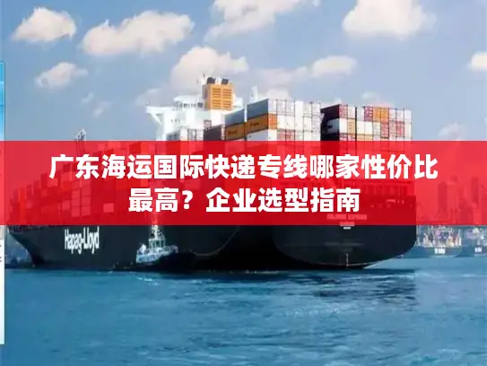 广东海运国际快递专线哪家性价比最高？企业选型指南