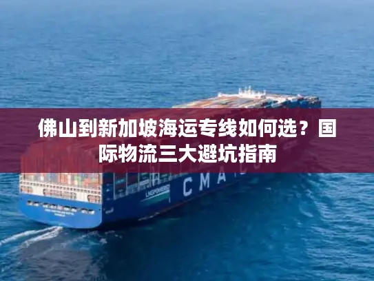 佛山到新加坡海运专线如何选？国际物流三大避坑指南