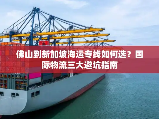 佛山到新加坡海运专线如何选？国际物流三大避坑指南