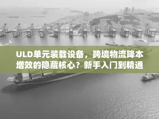 ULD单元装载设备，跨境物流降本增效的隐藏核心？新手入门到精通全指南