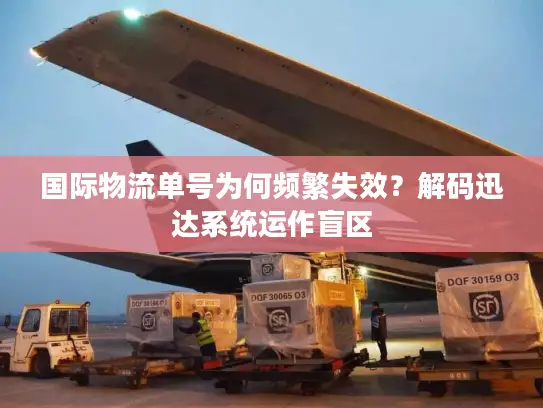 国际物流单号为何频繁失效？解码迅达系统运作盲区