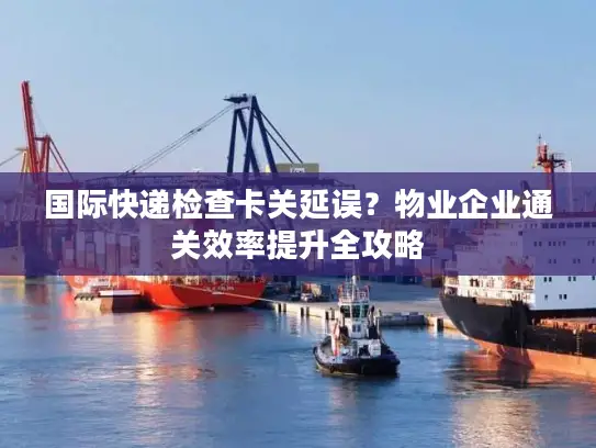 国际快递检查卡关延误？物业企业通关效率提升全攻略