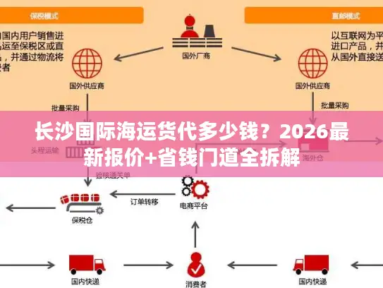 长沙国际海运货代多少钱？2026最新报价+省钱门道全拆解