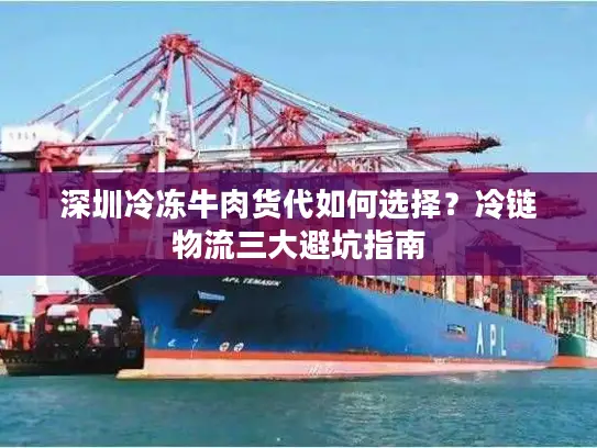 深圳冷冻牛肉货代如何选择？冷链物流三大避坑指南