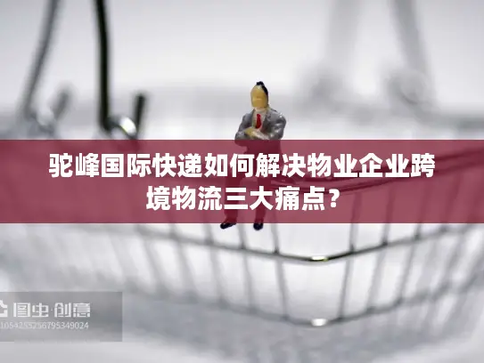 驼峰国际快递如何解决物业企业跨境物流三大痛点？