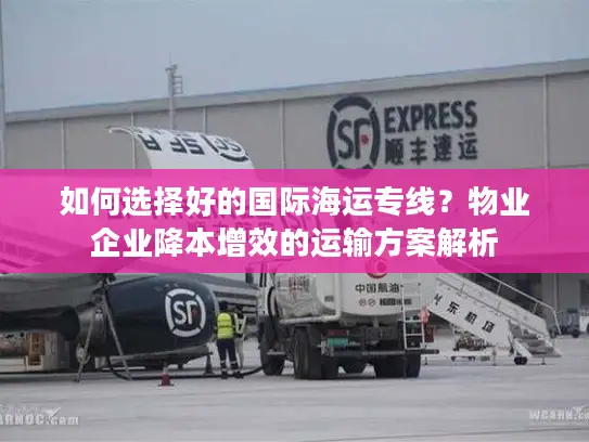 如何选择好的国际海运专线？物业企业降本增效的运输方案解析