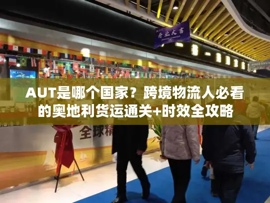 AUT是哪个国家？跨境物流人必看的奥地利货运通关+时效全攻略