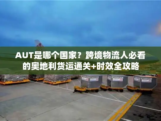 AUT是哪个国家？跨境物流人必看的奥地利货运通关+时效全攻略