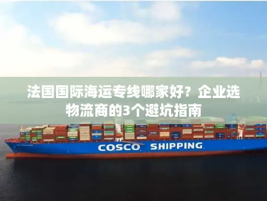 法国国际海运专线哪家好？企业选物流商的3个避坑指南