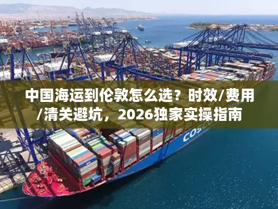 中国海运到伦敦怎么选？时效/费用/清关避坑，2026独家实操指南