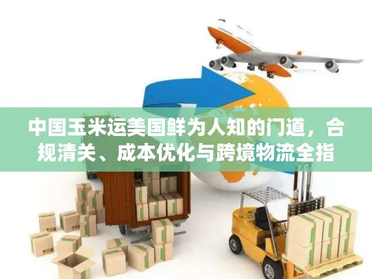 中国玉米运美国鲜为人知的门道，合规清关、成本优化与跨境物流全指南