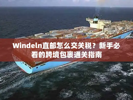 Windeln直邮怎么交关税？新手必看的跨境包裹通关指南