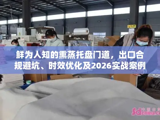 鲜为人知的熏蒸托盘门道，出口合规避坑、时效优化及2026实战案例
