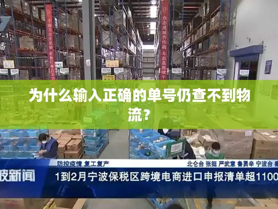 为什么输入正确的单号仍查不到物流？