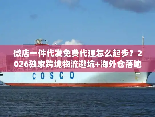 微店一件代发免费代理怎么起步？2026独家跨境物流避坑+海外仓落地案例