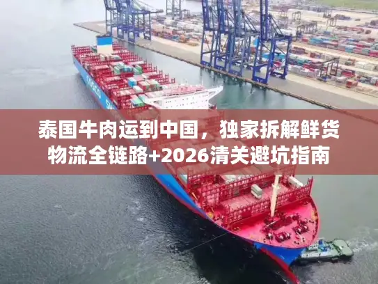 泰国牛肉运到中国，独家拆解鲜货物流全链路+2026清关避坑指南