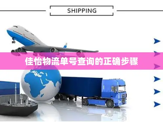 佳怡物流单号查询的正确步骤