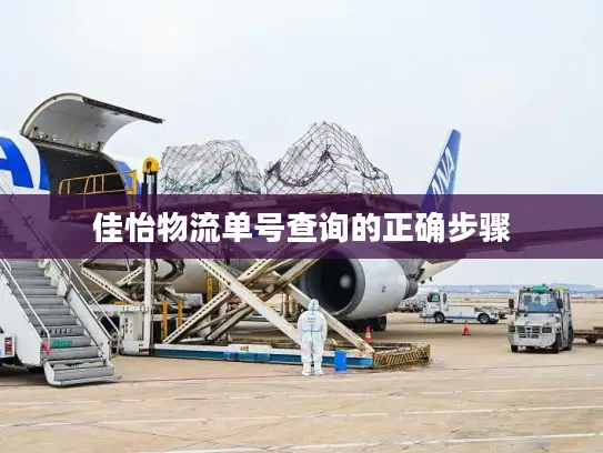 佳怡物流单号查询的正确步骤