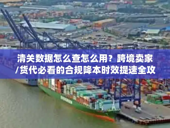 清关数据怎么查怎么用？跨境卖家/货代必看的合规降本时效提速全攻略