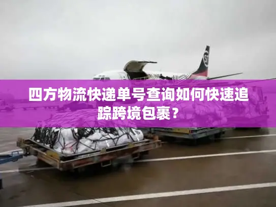 四方物流快递单号查询如何快速追踪跨境包裹？