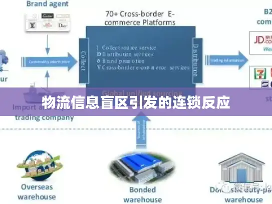 物流信息盲区引发的连锁反应