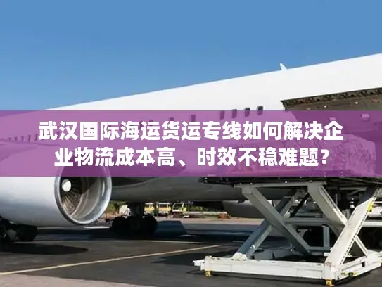 武汉国际海运货运专线如何解决企业物流成本高、时效不稳难题？