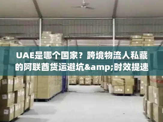 UAE是哪个国家？跨境物流人私藏的阿联酋货运避坑&时效提速指南