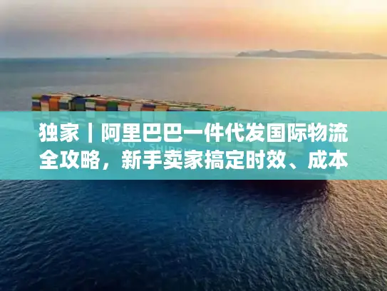 独家｜阿里巴巴一件代发国际物流全攻略，新手卖家搞定时效、成本与合规的实操门道