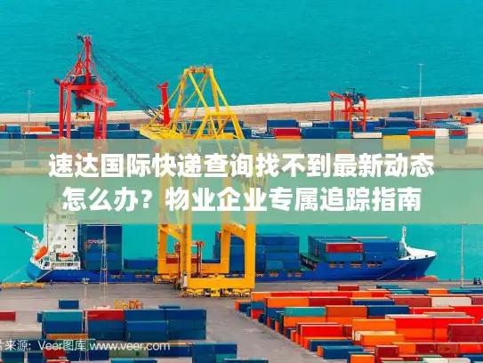 速达国际快递查询找不到最新动态怎么办？物业企业专属追踪指南