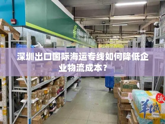 深圳出口国际海运专线如何降低企业物流成本？