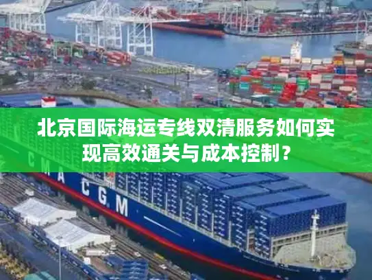 北京国际海运专线双清服务如何实现高效通关与成本控制？