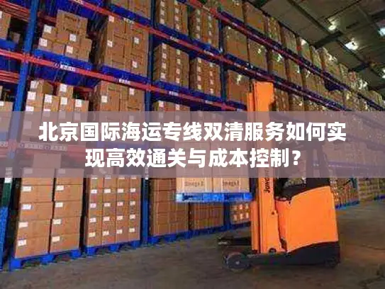 北京国际海运专线双清服务如何实现高效通关与成本控制？