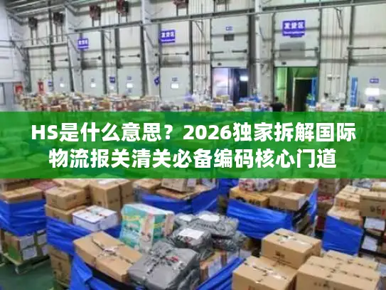 HS是什么意思？2026独家拆解国际物流报关清关必备编码核心门道